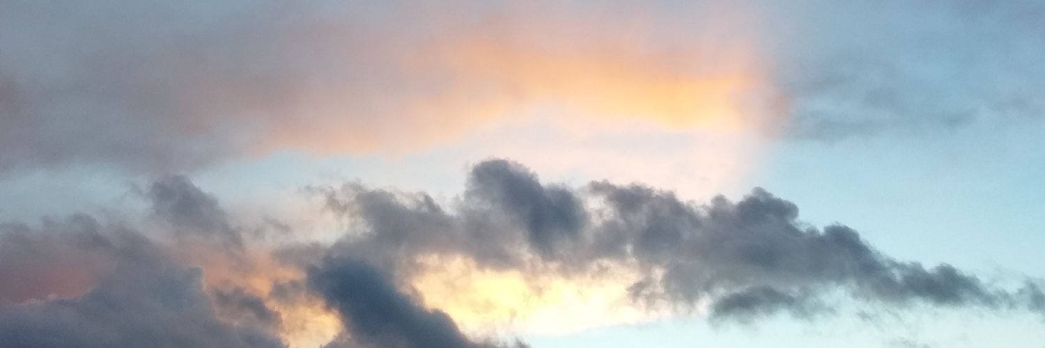 SierraDeltaFox's profile banner image