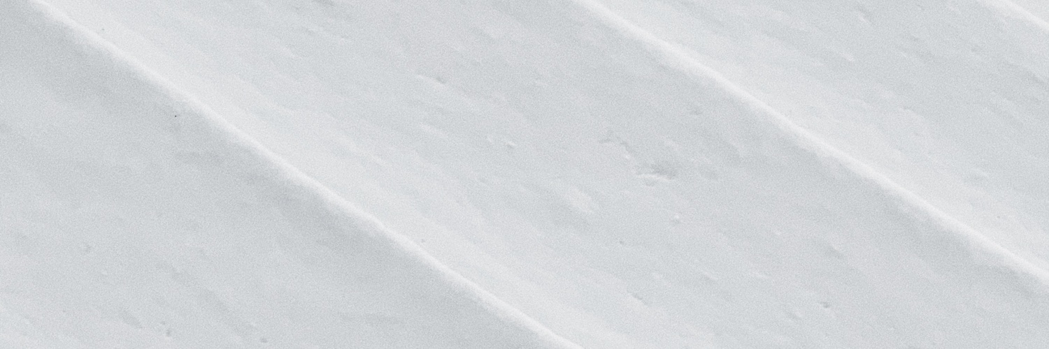 bornofthefoam's profile banner image