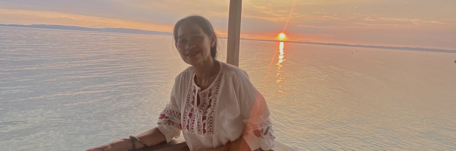 pmodestooo's profile banner image