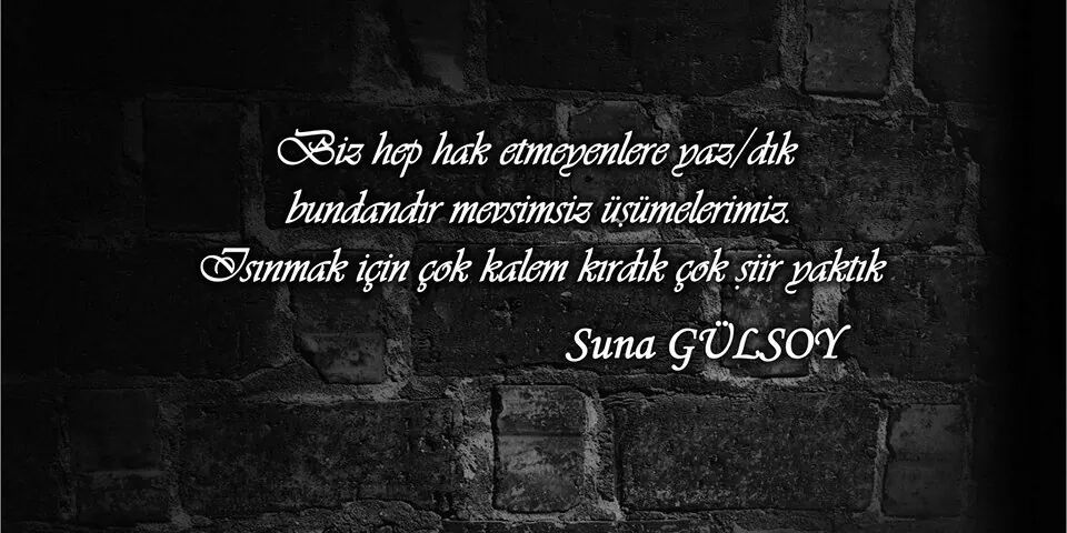 SunaAGLSOY's profile banner image