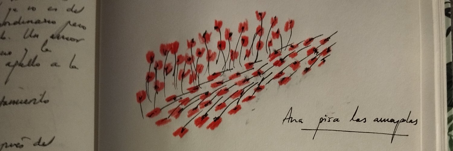 María Domínguez del Castillo banner