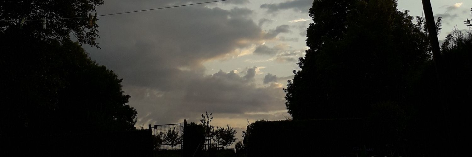 CrpinA's profile banner image