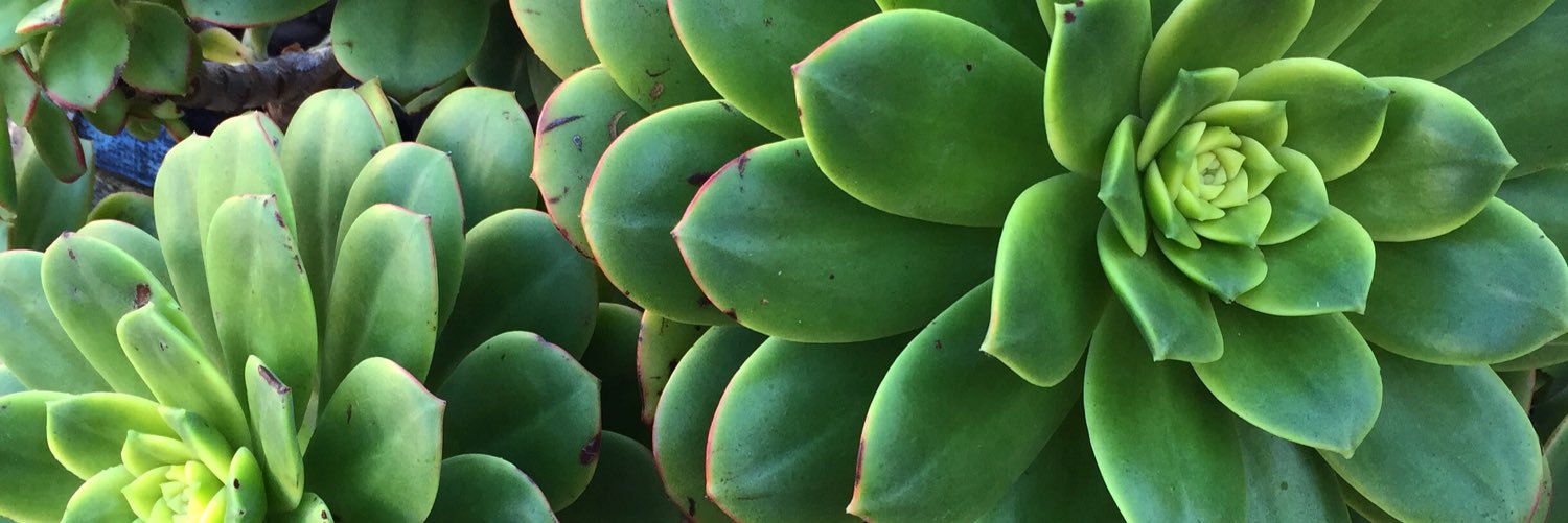 HeyItsMeKatySue's profile banner image