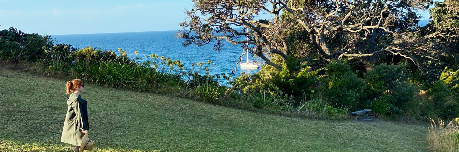 Bryce Dallas Howard banner