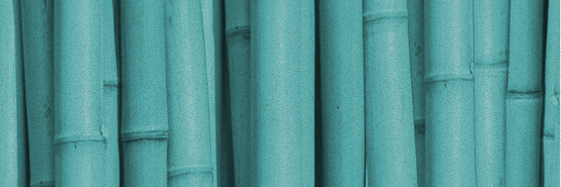 mᐎtch banner