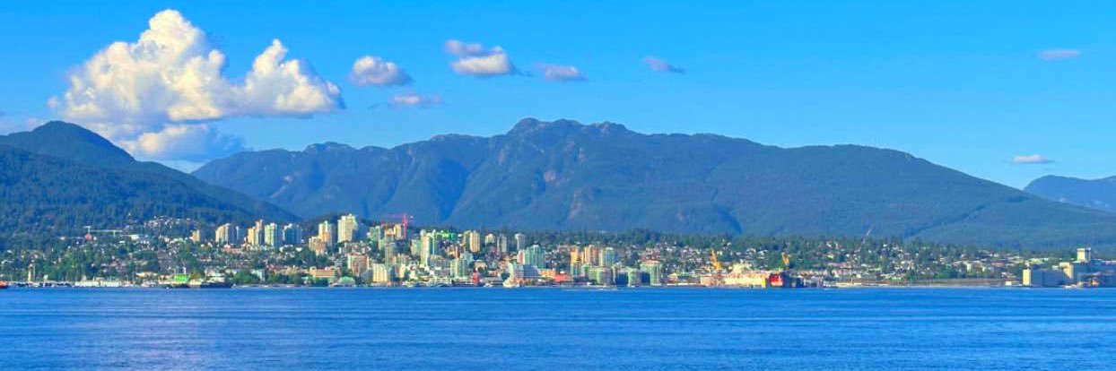 Ali Bassi د.علي باصي banner