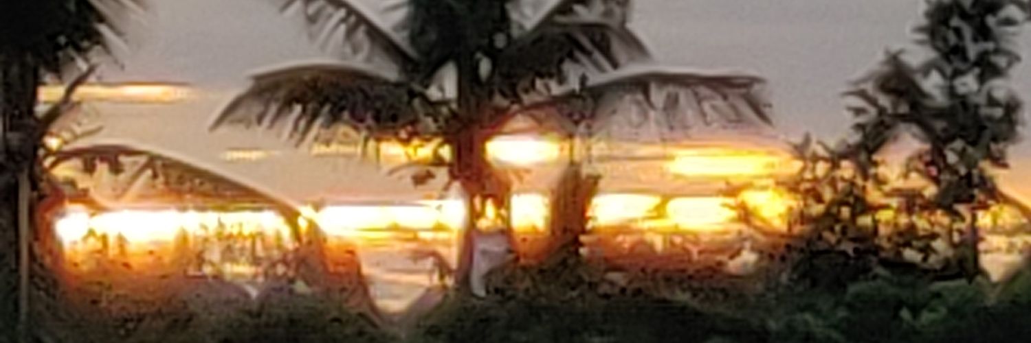 malyavbn's profile banner image