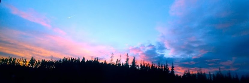 Ivona_VosLie's profile banner image