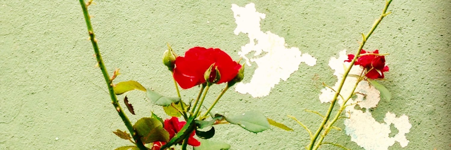 Malú Antunes banner