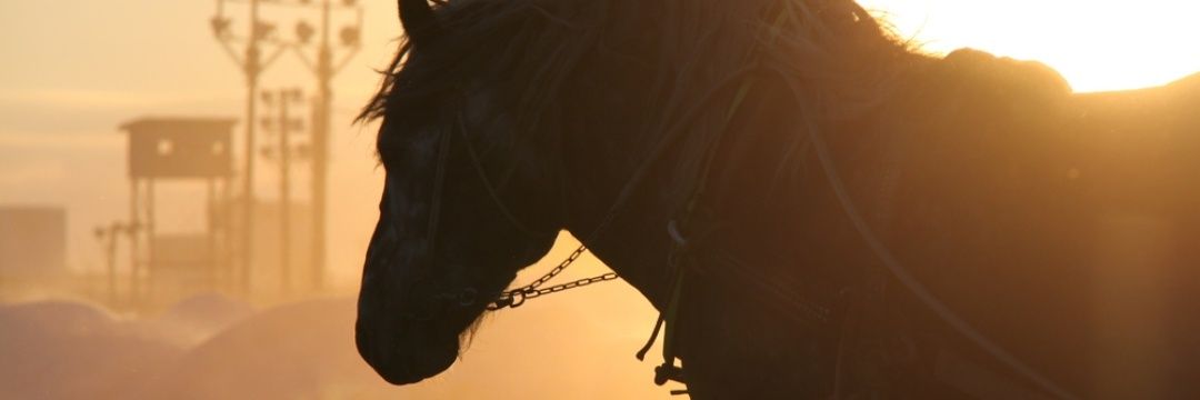 donbu813's profile banner image