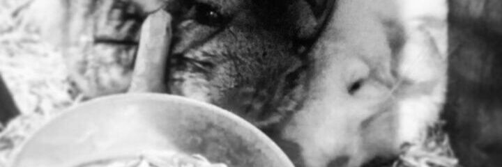 vapogarcia's profile banner image