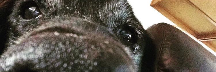 〽️ichael 〽️aurice banner