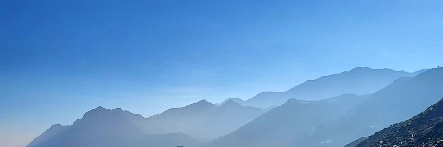 out of the herd banner