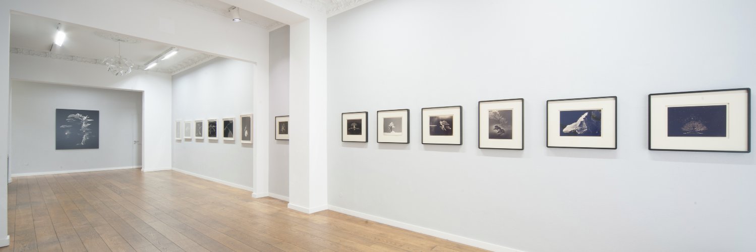 A. Ehrhardt Stiftung banner