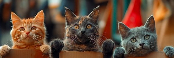 abocan07 Profile Banner