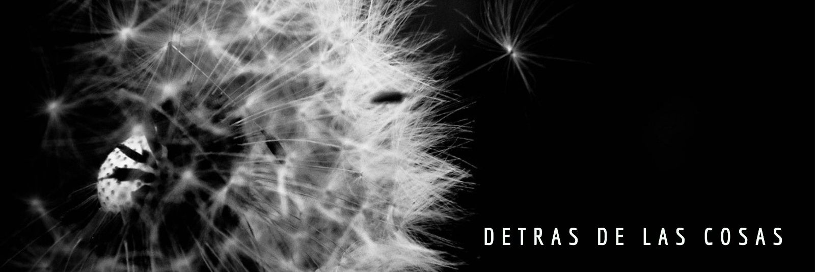 HarmoniaDisrupt's profile banner image