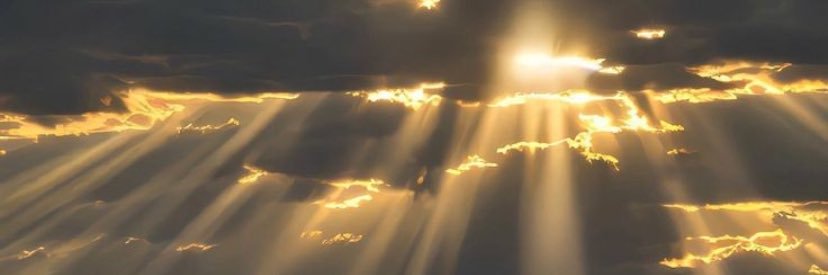 ozyigitseda's profile banner image
