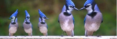 Jorge Rodriguez banner