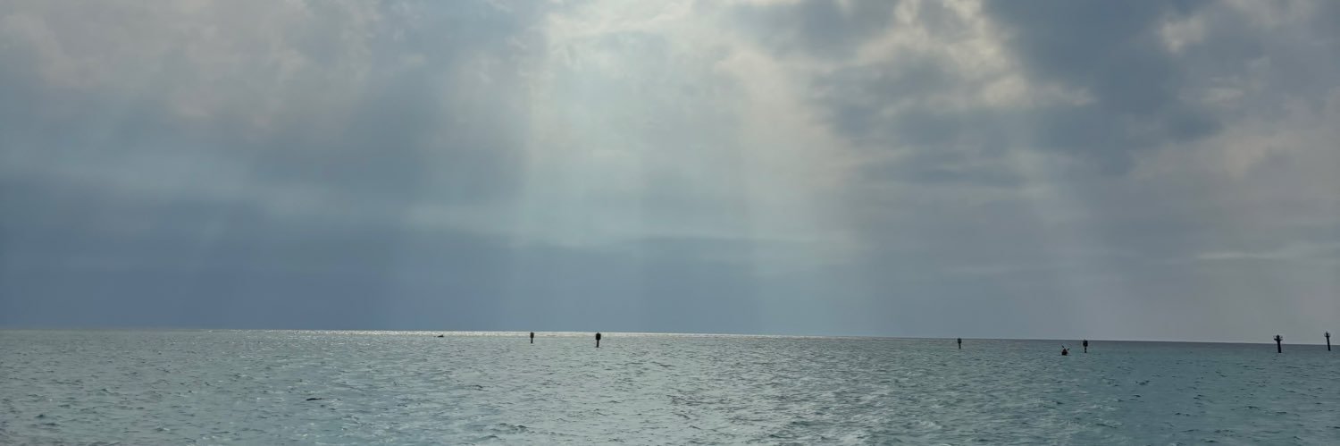 MBardesi's profile banner image