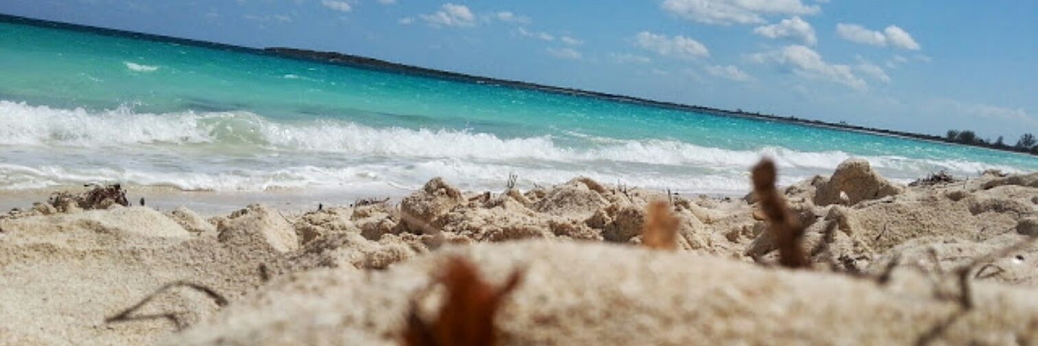 sebas_henderson's profile banner image