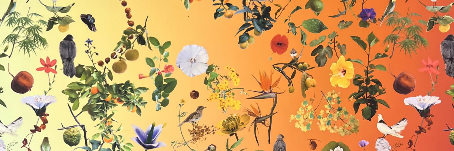 gravinantonio's profile banner image