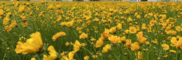 KassiTomRowland Profile Banner