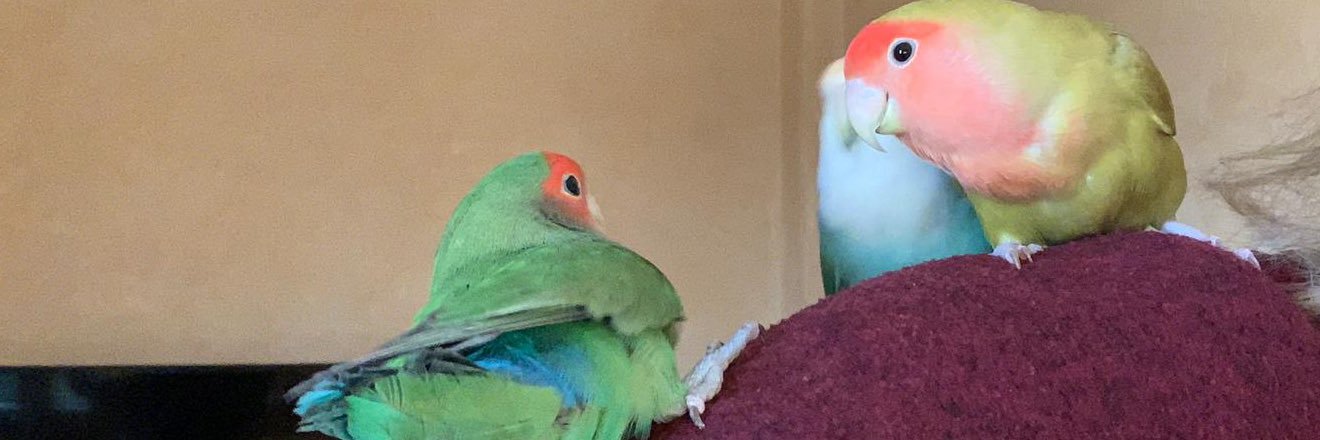 ManuelCerveraP's profile banner image