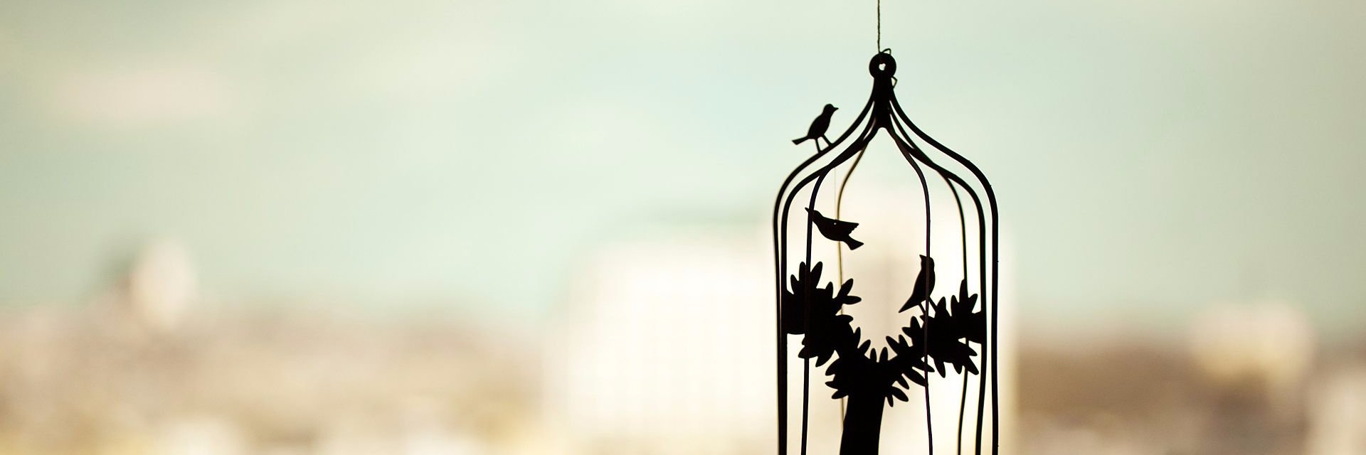 beacookiee's profile banner image