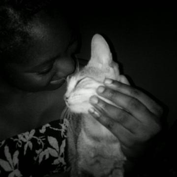 CAT-WHISPERER banner