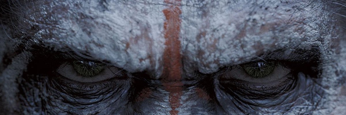 1of1Peezy's profile banner image