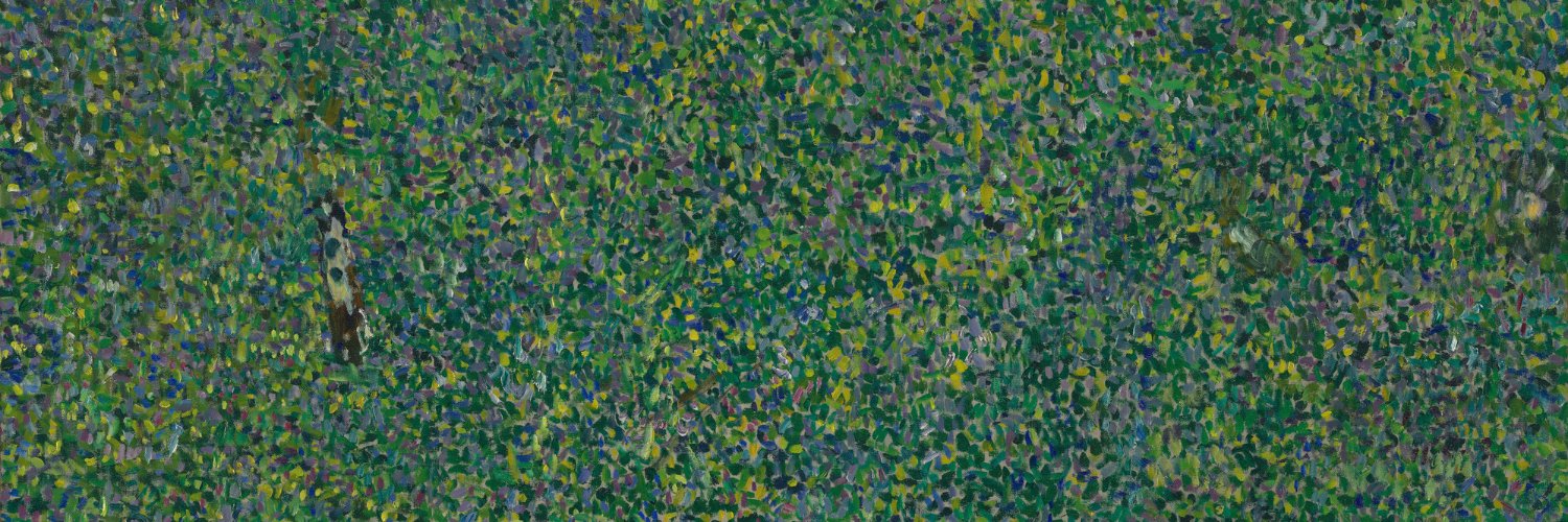 Leslie Shapiro banner