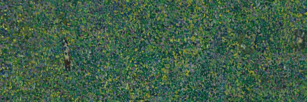lmshap Profile Banner