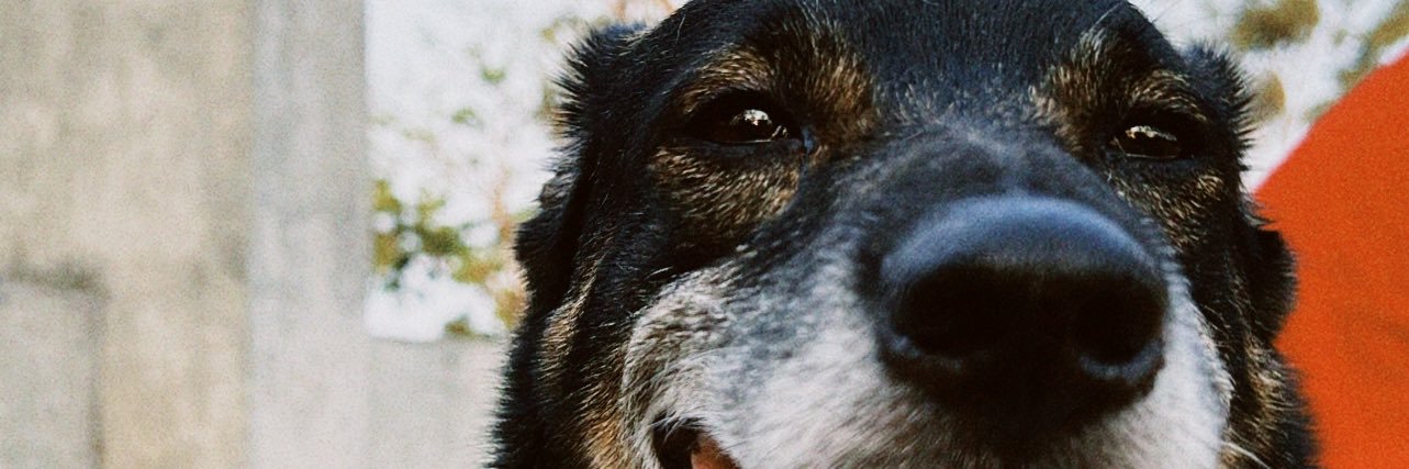 Gportillo__'s profile banner image