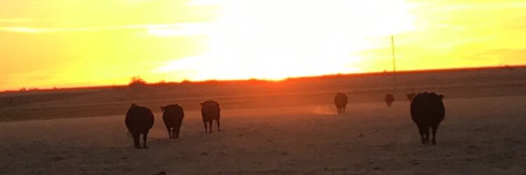 RileyHuseman's profile banner image