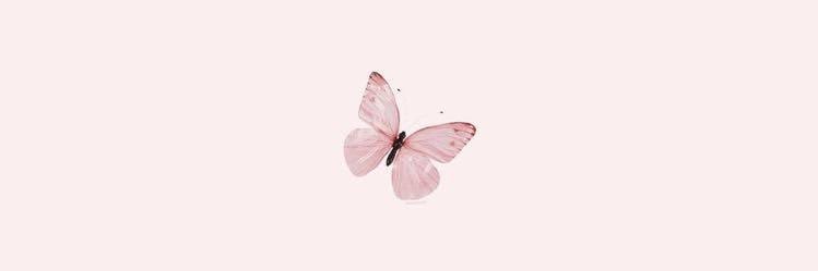 OppaCarolina's profile banner image