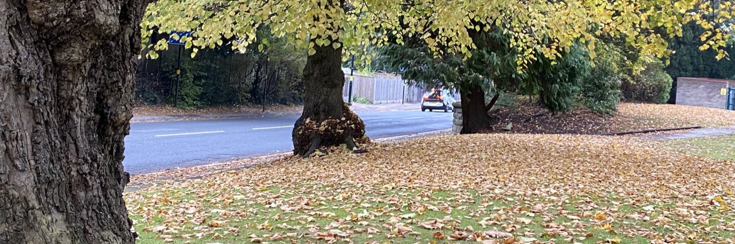 Dr Shashank Vikram IFS banner