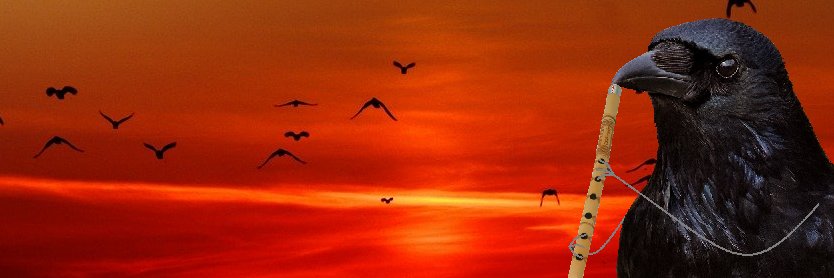 Crowbadour's profile banner image