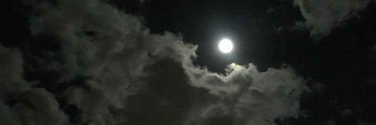 soffia_ldd's profile banner image