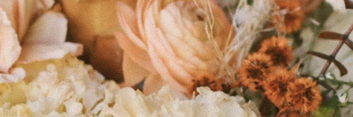blairrbowmann's profile banner image