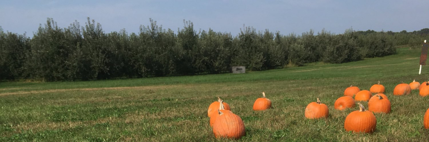 Victoria Robinson banner