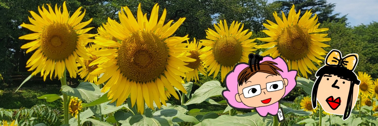 kmrh414's profile banner image
