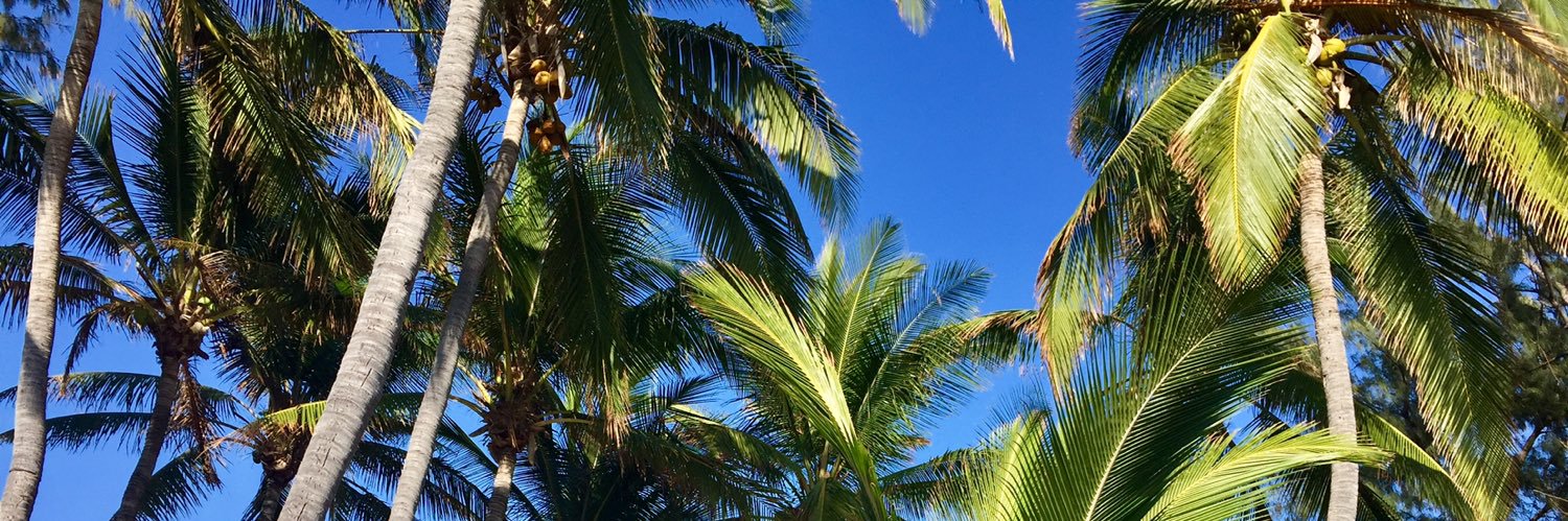 Sarah Lhéritier banner