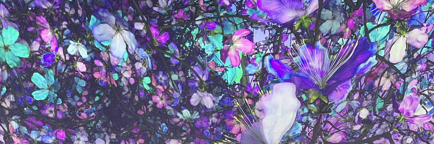 CateMcClain's profile banner image