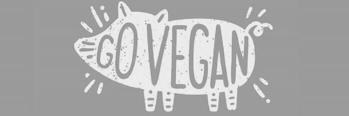 brookeanimalact's profile banner image