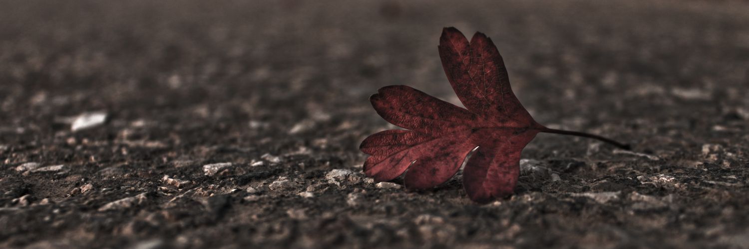 asdisadams's profile banner image