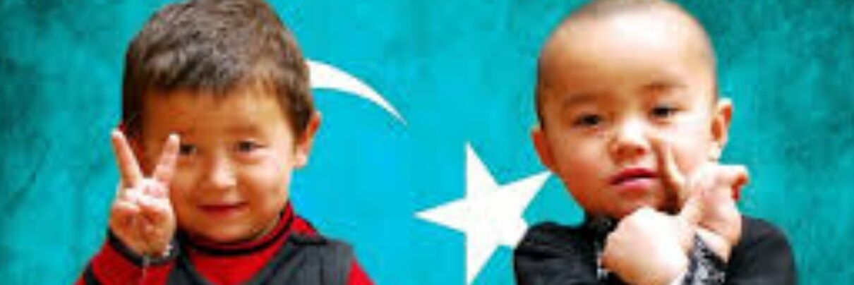 mecelleoglu's profile banner image