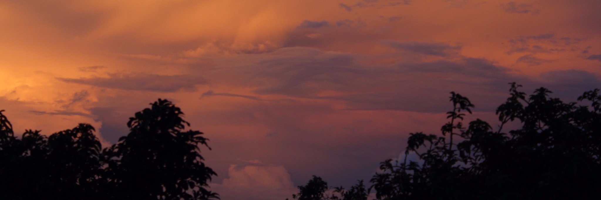 MaggieMITAM's profile banner image