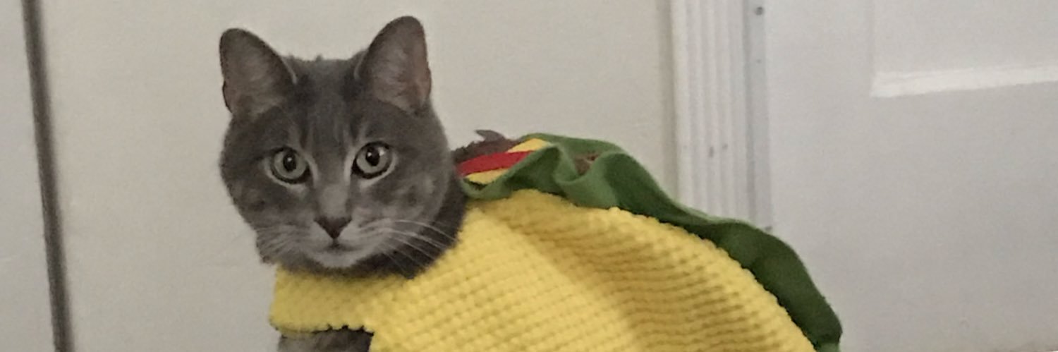 PerfectJaimee's profile banner image