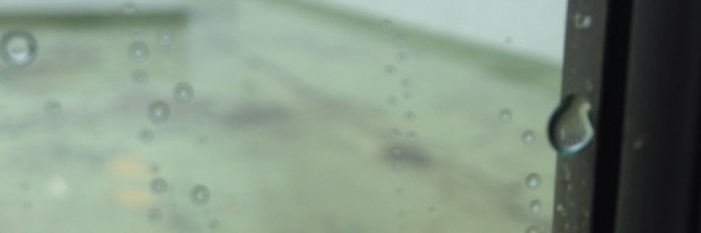 genebabo's profile banner image