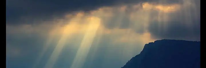 Ricky Lee⚔️ banner
